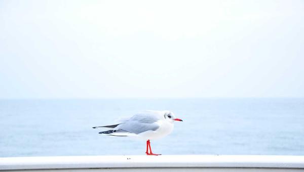 麻将起源与文化